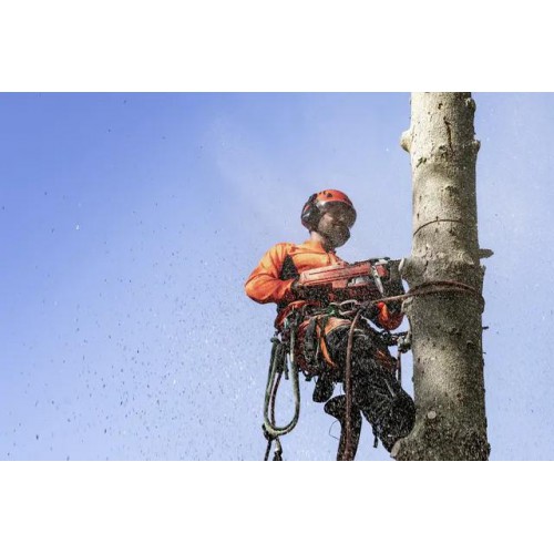 Pilarka spalinowa HUSQVARNA 545 Mark II
