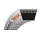 Pasek klinowy zębaty (10x863La, 812Li) - Napęd jazdy: Alko Farmer 3500, Farmer MH 5000, MH 500, MH 4000, MH 5000 | Stihl 08S, TS08, TS08S, TS350, TS350AVE, TS360, TS460 | Sanli LSP5155BMS | Webb WER51SPHW - PIX