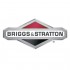 Briggs & Stratton